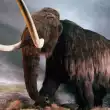 Мамут