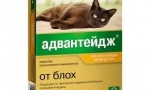 Застъпничество за котки - капки от бълхи и въшки
