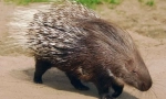 Уред