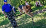 Обучение
