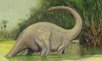 Където учените търсят mokele mbemebe?