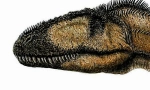 Carchodontosaur