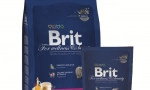 Cat food brit: отзиви и препоръки на ветеринарни лекари