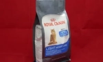 Храни за стерилизирани и кастрирани котки и котки на марката royal canin
