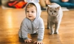 Котка и деца