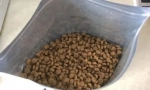 Котката отказва суха храна