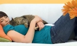 Кататерапия