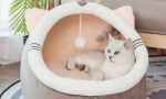 Лена за котки