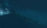 Нарвал