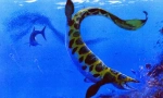 Platecharpus
