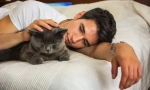 Защо котките винаги заемат домакин