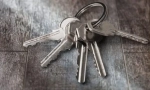 Ние купуваме кученце или коте: 20 въпроса селекционерът
