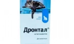 Увеличено слюноотделяне на котката: защо възниква и какви мерки да се направят