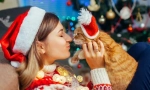 Щастлива нова година, котка! 14 новогодишни идеи за подаръци за котки