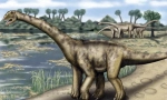 Tourisaurs
