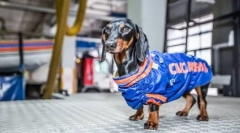 4 Известни данъци, които помагат на хората