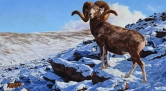 Баран планина алтай