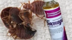 Blockade antiklop и поръчка за приложение