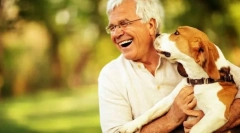 Кучета опасни за човека