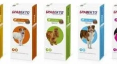 Bravkto от кърлежи, бълхи и други паразити