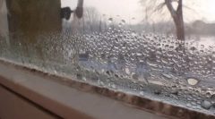 Домакински и фолклорни средства за унищожаване на мухъл