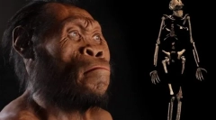 Човек като вид