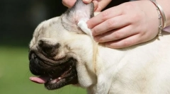 Почистване на ушите