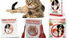 Празнувани от бълхи и кърлежи за котки и кучета