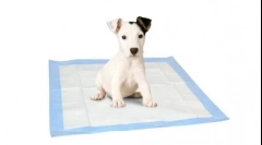 Какво е по-добре за кучета - тава или подлог