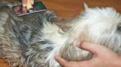 Какво води до образуването на късове и как да се справят с тях?