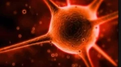 Какво е cryptosporidia и какви са методите на неговото лечение?