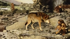 Диви предци на домашни кучета: изглед към скалите, подобни на вълците