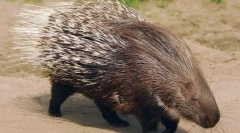 Уред