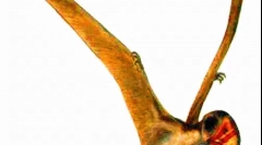 Dorphodon