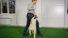 Обличане върху подчинение