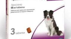 Frontline nexgard и инструкции за неговото използване