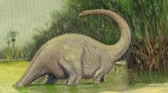 Където учените търсят mokele mbemebe?