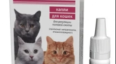 Gestrenol за котки: случаи на назначаване и препоръки за употреба