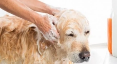 Хигиенни лечения