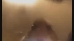 Хамстер разглежда в камерата: какво означава новият мем