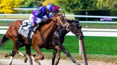 Игри с участието на коне