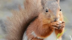 Интересни факти за протеини