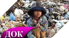 Интересни факти за замърсяването на околната среда