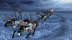 Интересни факти за deers santa claus