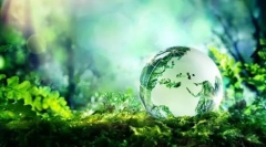 Екосистема: компоненти, структура, енергийни вериги