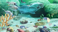 Еволюция на дивата природа