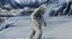 Как изглежда снежен човек?