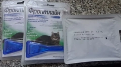 Капки от бълхи и кърлежи на котките на холката