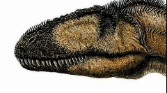 Carchodontosaur