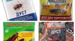 Китайски инструменти от хлебарки